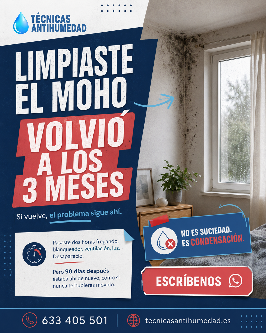 problemas con el moho por humedades