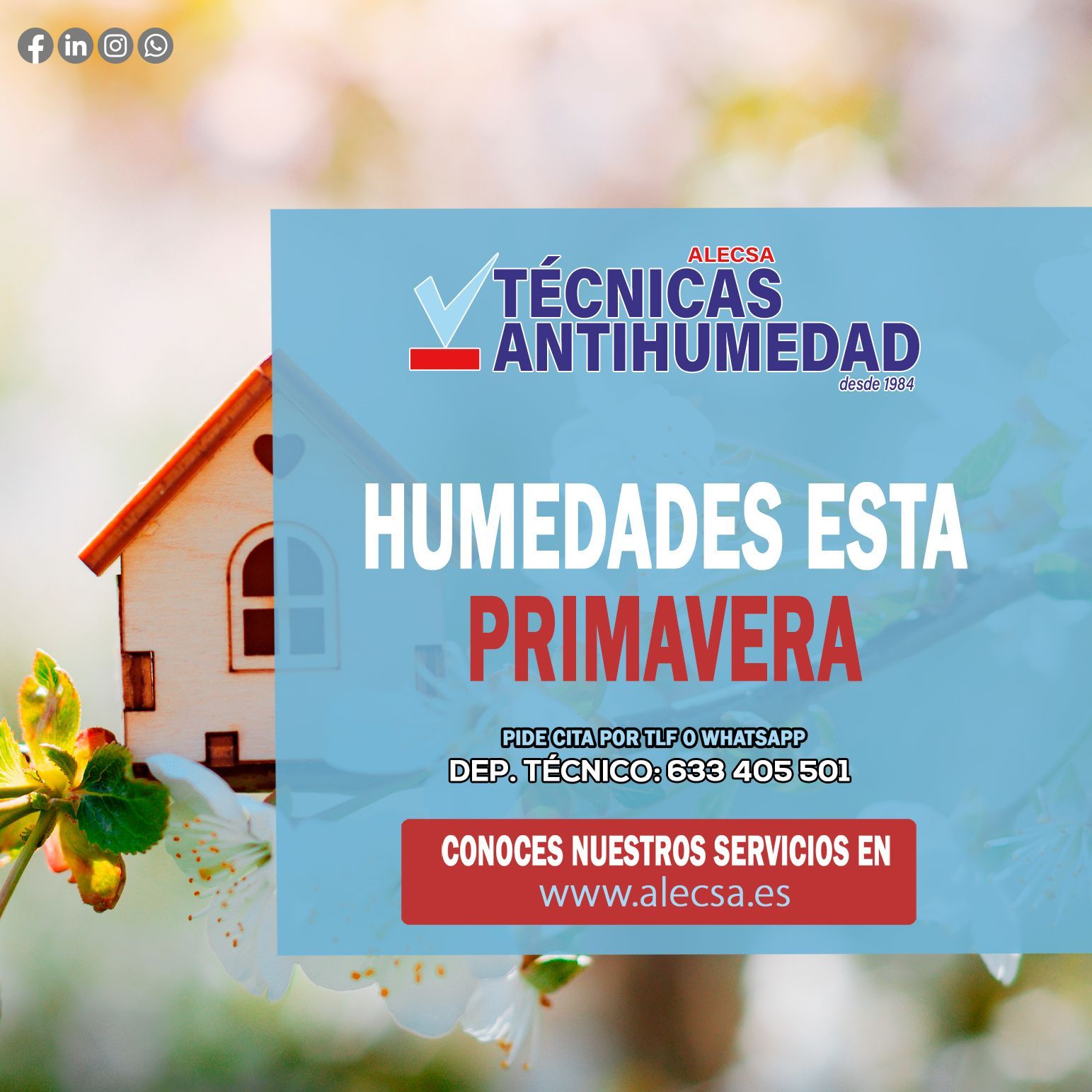 humedades en primavera