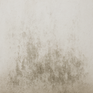 manchas de humedad en pared